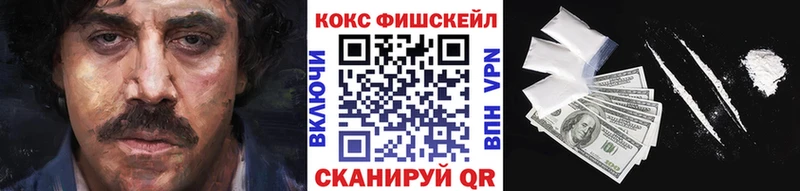 Купить  Осташков  COCAIN Fish Scale 