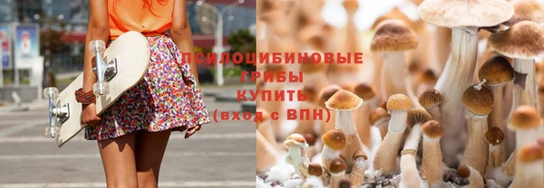 твердый Тавда