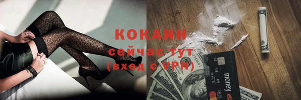 дурь Верея