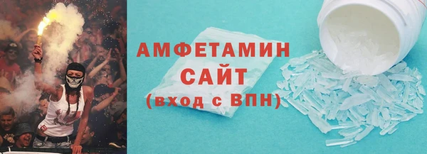 гашик Тайга