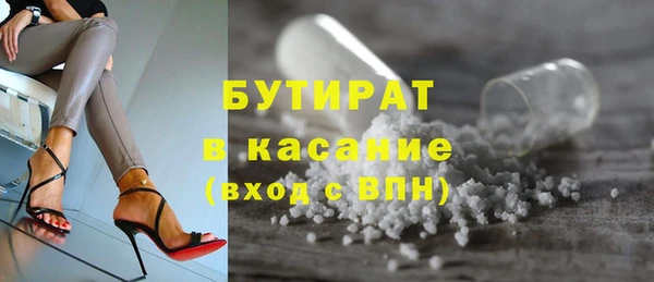 гашик Тайга