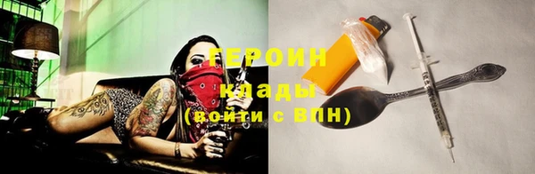 гашик Тайга