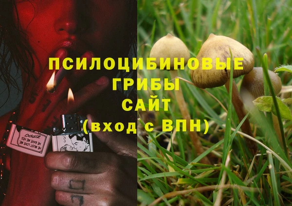 тгк Сясьстрой
