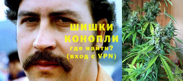 твердый Тавда