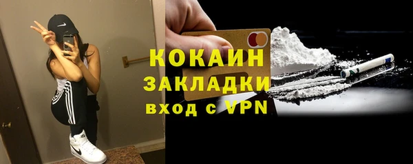 гашик Тайга