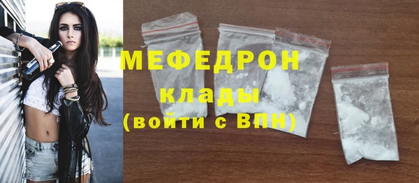 гашик Тайга