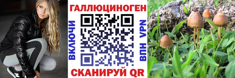 Псилоцибиновые грибы мицелий  Купить  Осташков